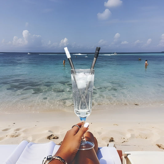 Sippa Compact Reusable Straw – Travel Case + Brush Included (2 IN 1)